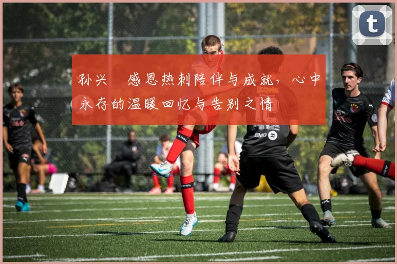 孙兴慜感恩热刺陪伴与成就，心中永存的温暖回忆与告别之情