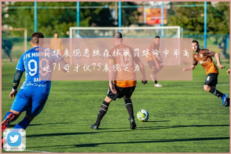 罚球表现悬殊森林狼罚球命中率高达71奇才仅75表现乏力